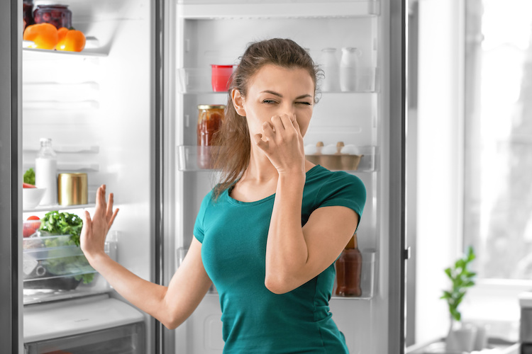 Frigo e Cattivi Odori: Come Intervenire e Quali sono le Cause?