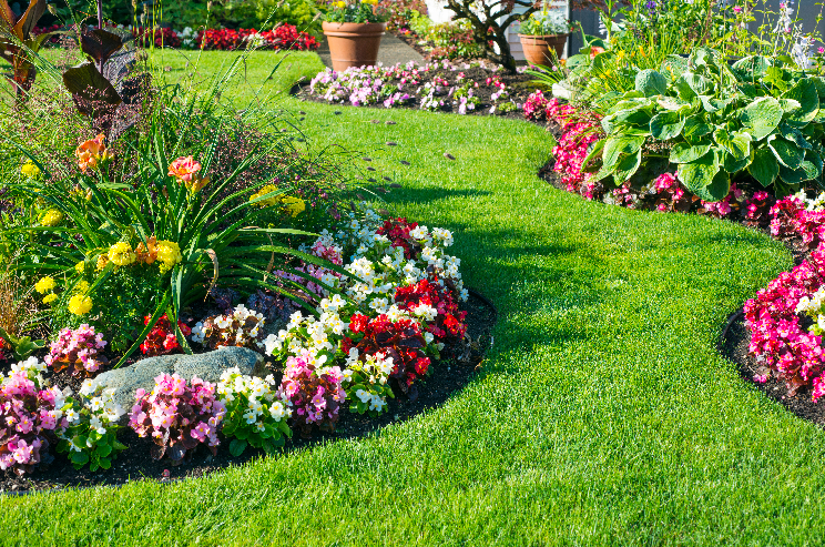Come creare un giardino con poca manutenzione?
