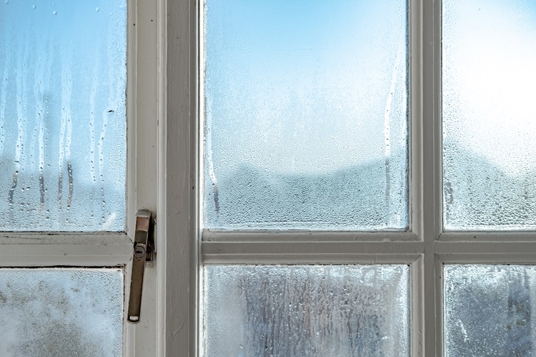 Come eliminare la condensa dai doppi vetri delle finestre - Immobiliare.it  News